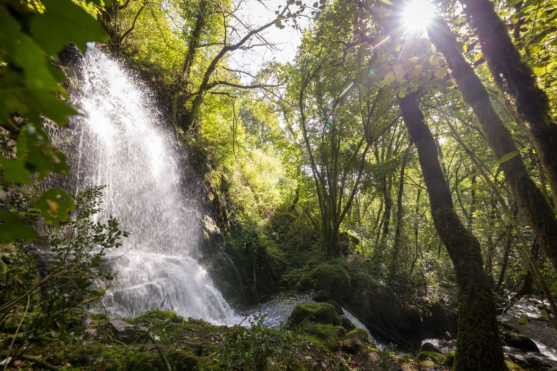 Camiño entre a paisaxe rural galega